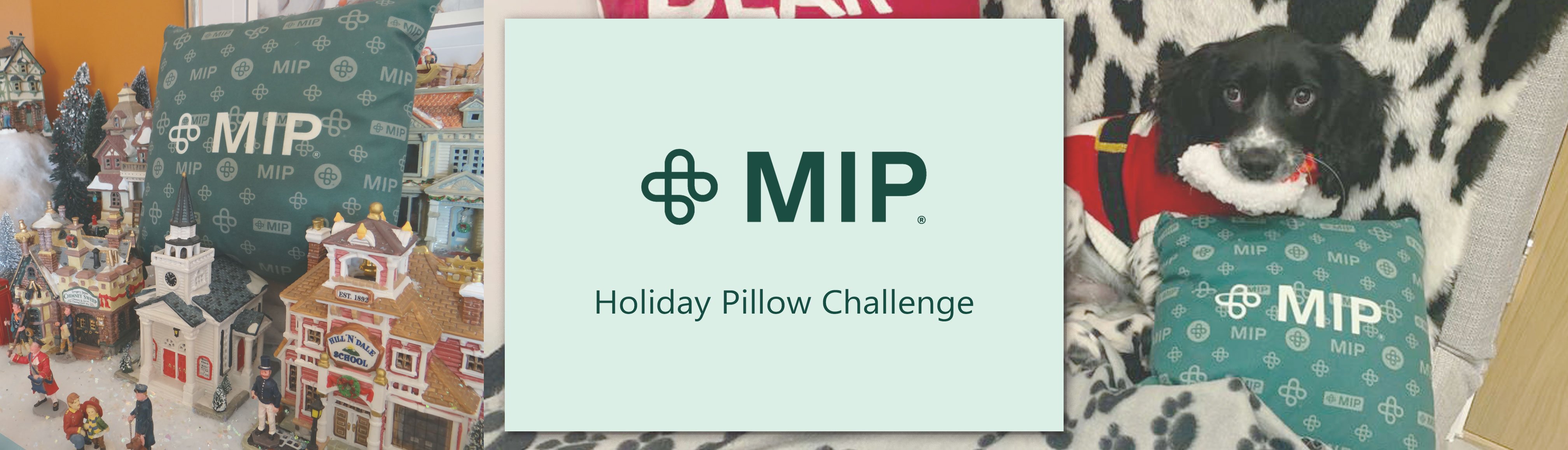 holiday pillow challenge